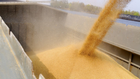 Россия в январе увеличила экспорт зерна почти на 18 процентов
